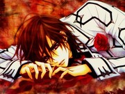 Appreciate the Charm of Vampire Knight