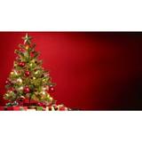 Christmas Scene Backdrops